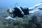 Certified Diver Excursions thumbnail 5