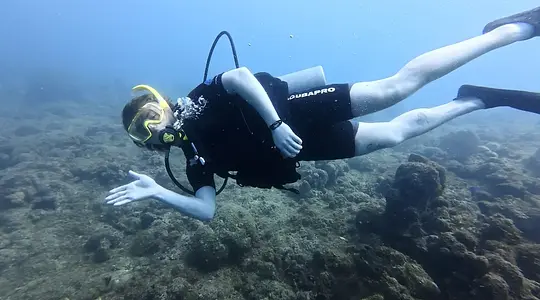 Certified Diver Excursions - Photo 5