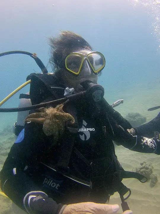 Certified Diver Excursions - Photo 3