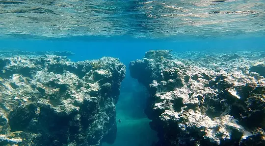 Certified Diver Excursions - Photo 7